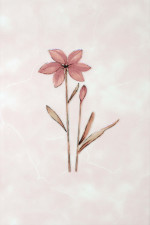 Валентино 200х300 розовый декор Цветы (06 Z 010 00 10)